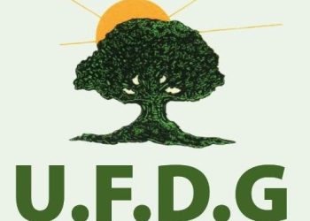 UFDG : Le collège des Fédéraux de la Basse Côte soutient le Mémo des Fédérations de la haute Guinée et de la forêt (Déclaration)