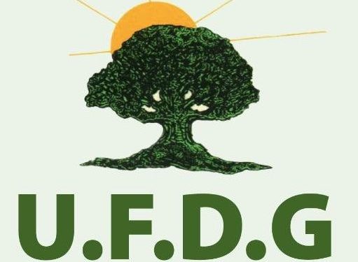 UFDG : Le collège des Fédéraux de la Basse Côte soutient le Mémo des Fédérations de la haute Guinée et de la forêt (Déclaration)