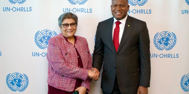 De Washington à New York, le Ministre Ismaël Nabé hisse haut les couleurs de la Guinée et du Programme SIMANDOU 2040