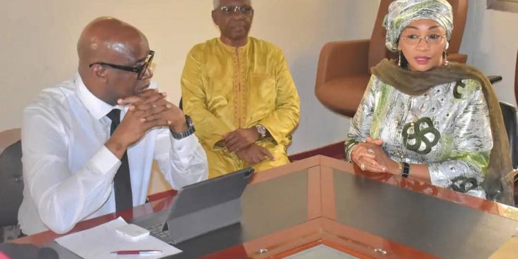 UFDG : Cellou Dalein Diallo nomme deux nouveaux conseillers