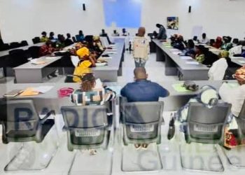 Kindia/Femmes et Environnement : Le CECI forme des acteurs locaux dans le cadre du projet « NBS Forêts Guinéennes »