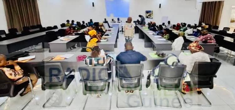 Kindia/Femmes et Environnement : Le CECI forme des acteurs locaux dans le cadre du projet « NBS Forêts Guinéennes »