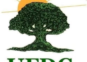 MÉMORANDUM À l’attention de : La direction du Parti UFDG De la part de : Mamadou Bailo Diallo Membre préoccupé