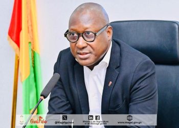 Guinée : Lancement de l’évaluation de la phase 1 du PDACG avec l’appui de la Banque Mondiale