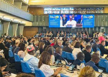 Sécurité alimentaire : La Guinée réaffirme son engagement aux côtés de la FAO