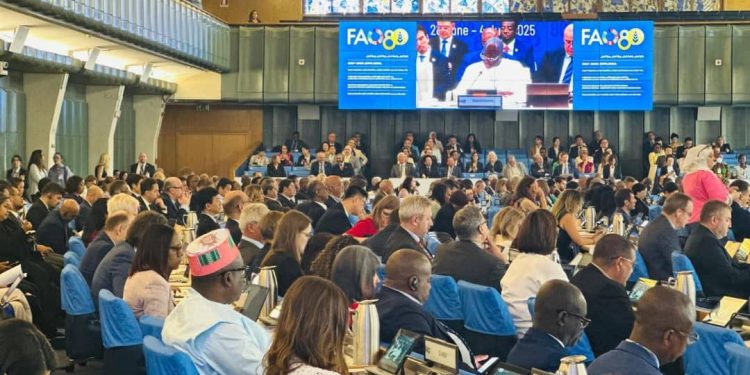 Sécurité alimentaire : La Guinée réaffirme son engagement aux côtés de la FAO