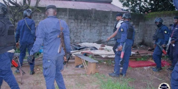 Lutte contre la drogue : La BAC poursuit ses opérations à Kountia et Tobolon