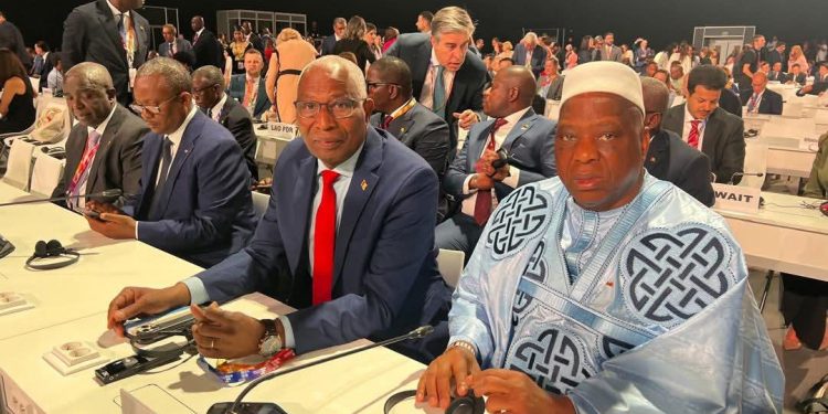 Financement du Développement : la Guinée élue à la Vice-Présidence de la 4e Conférence Internationale