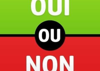 NOUVELLE CONSTITUTION : DIRE « OUI » POUR CONSOLIDER L’ÉTAT DE DROIT ET L’AVENIR DE LA GUINÉE