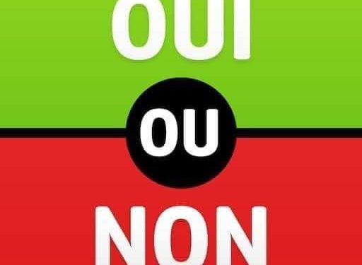 NOUVELLE CONSTITUTION : DIRE « OUI » POUR CONSOLIDER L’ÉTAT DE DROIT ET L’AVENIR DE LA GUINÉE
