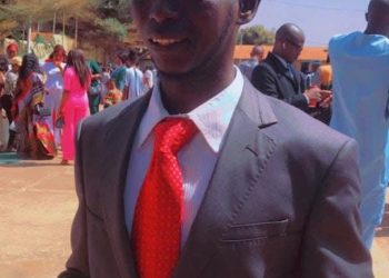 Analyse stratégique du retrait de la concession minière de Guinea Alumina Corporation (GAC) au profit de la société nationale Nimba Mining Compagnie SA