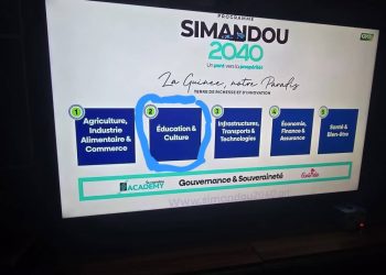 Les 5 piliers du programmes Simandou 2040