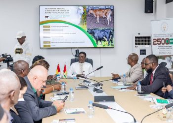 Élevage : 5 000 bovins pour accélérer la transformation de la filière guinéenne