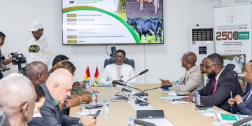 Élevage : 5 000 bovins pour accélérer la transformation de la filière guinéenne
