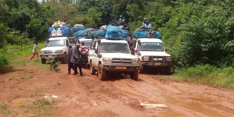 Mali–Kédougou : la route nationale du calvaire, un supplice pour les populations