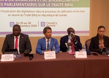 Traité BBNJ : l’Afrique de l’Ouest appelée à saisir les opportunités de la haute mer